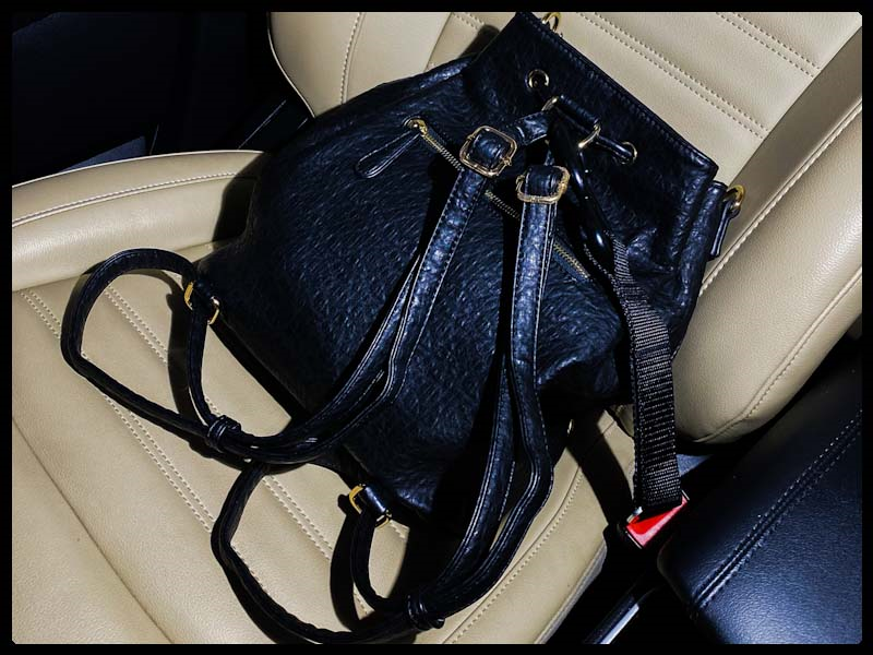 Black backpack purse on seat secured by a Hook & Go inserted into the front passenger seat belt buckle