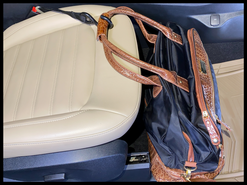 Large black gym bag suspended over seat edge, secured by a Hook & Go inserted into the front passenger seat belt buckle