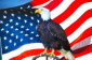 Eagle standing in front of an American Flag signifying Made in the USA